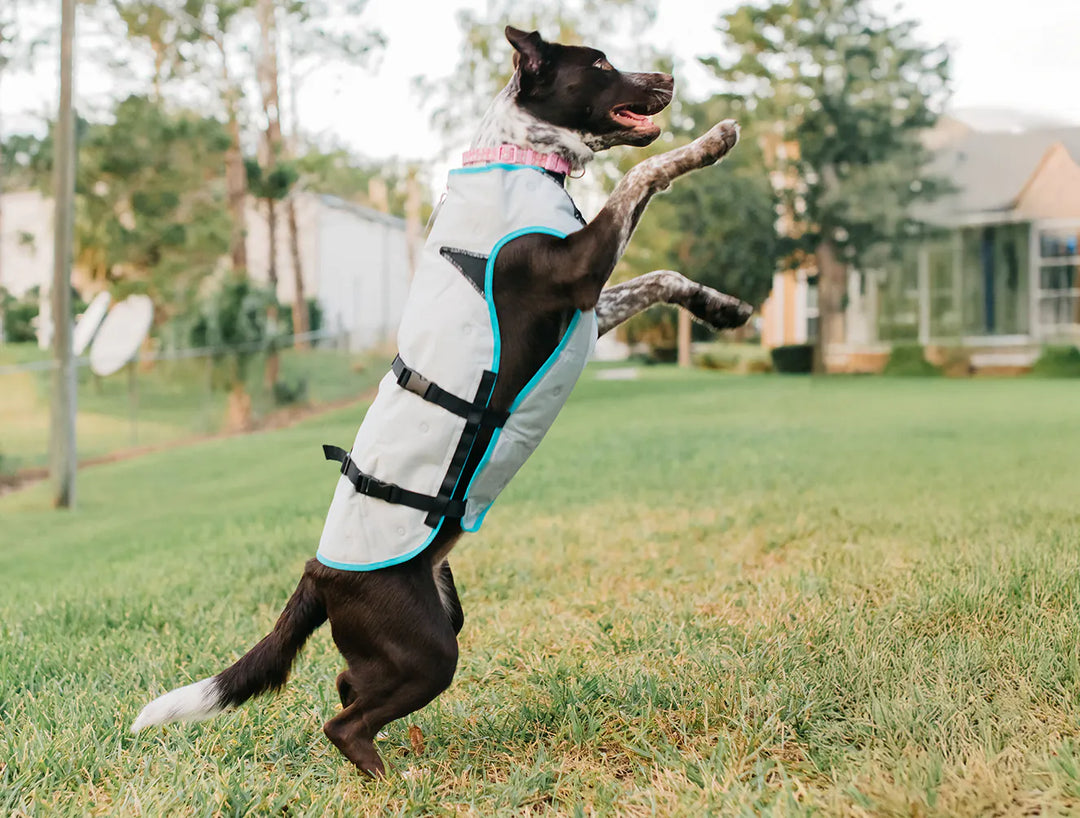 Suitical Dog DRY Evaporative Cooling Vest