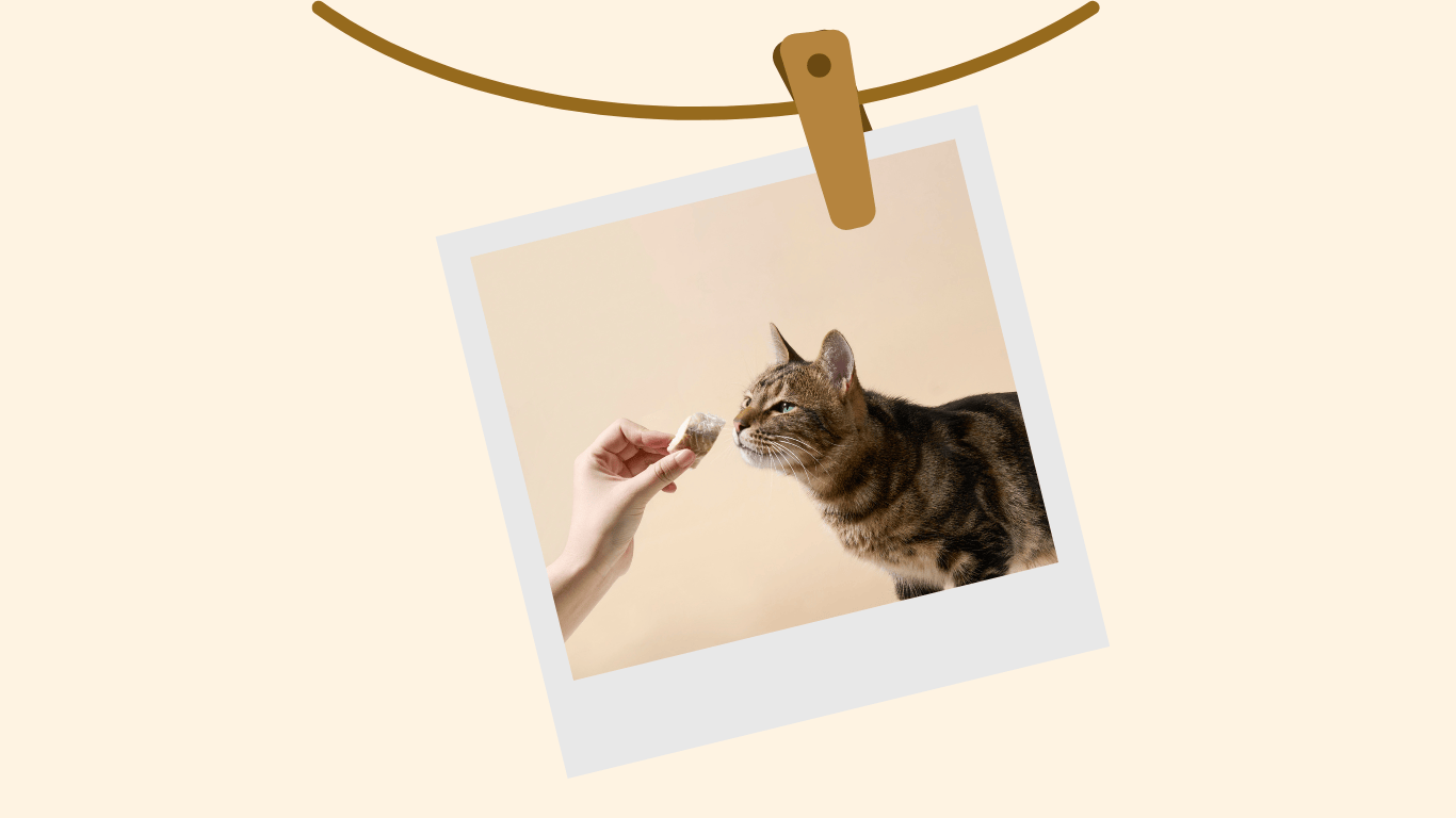 website_10.png