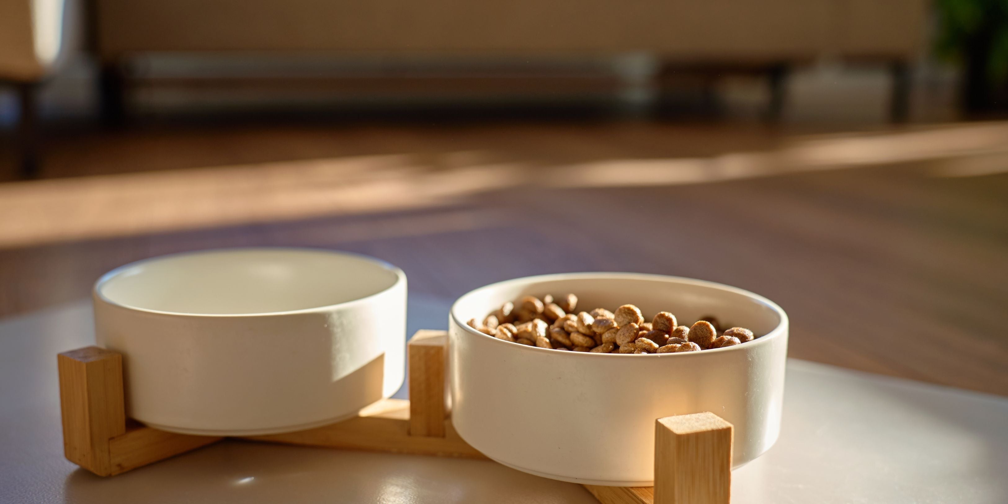 寵物轉糧 7–10 日實戰圖表：常見錯誤與腸胃不適處理方法