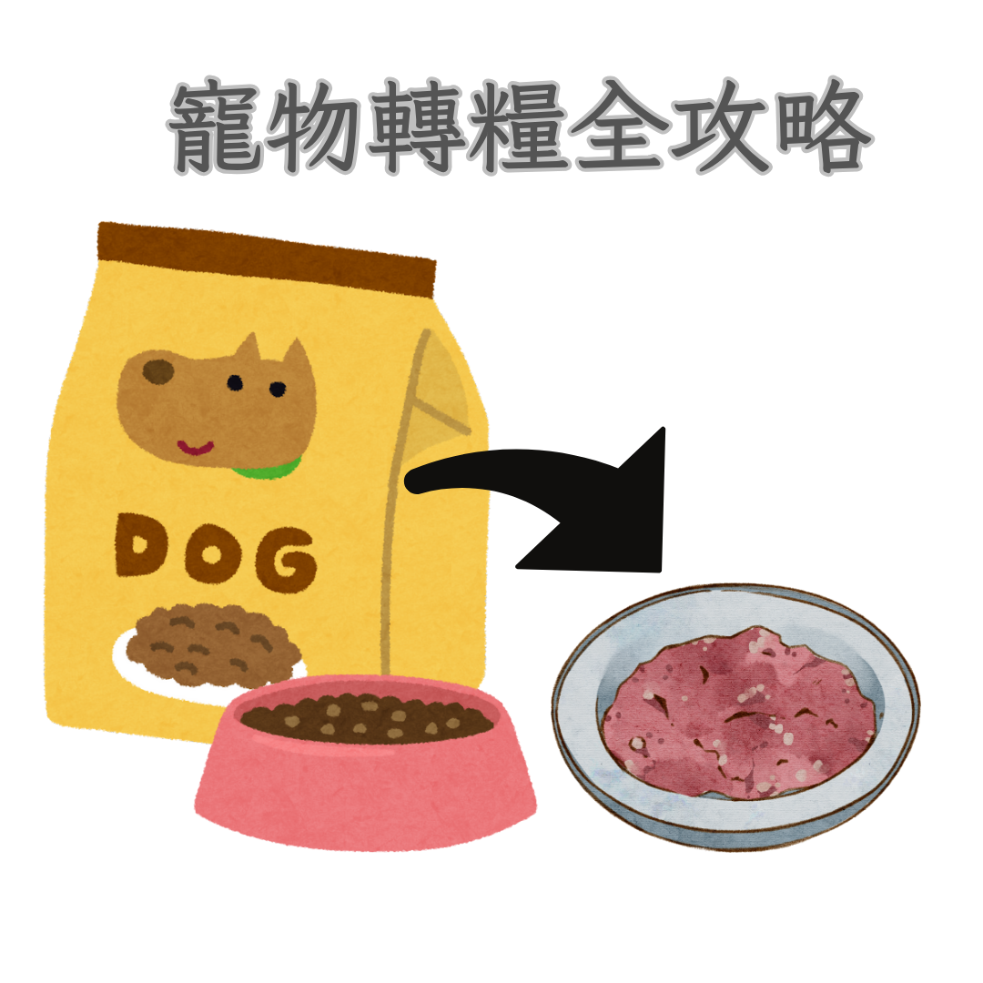 寵物轉食凍乾糧全攻略｜漸進換糧、凍乾生食加水還原教學