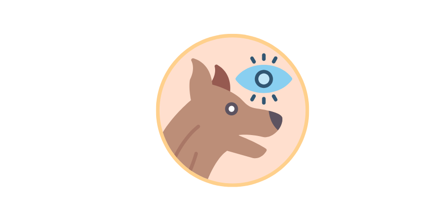 寵物護眼全攻略：狗＋貓通用全方位保護指南