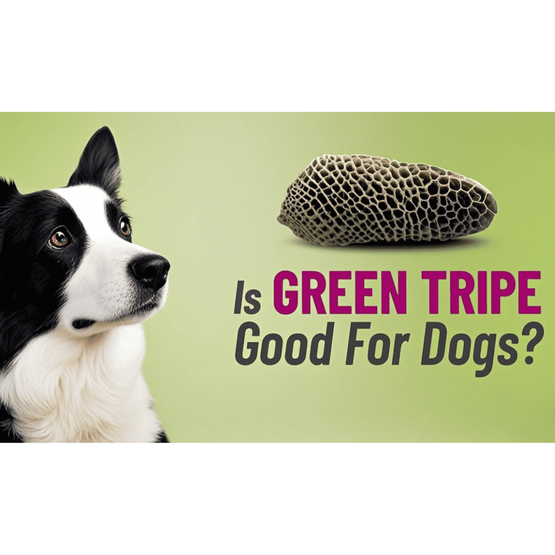 超級食物 好處多 --- 草胃