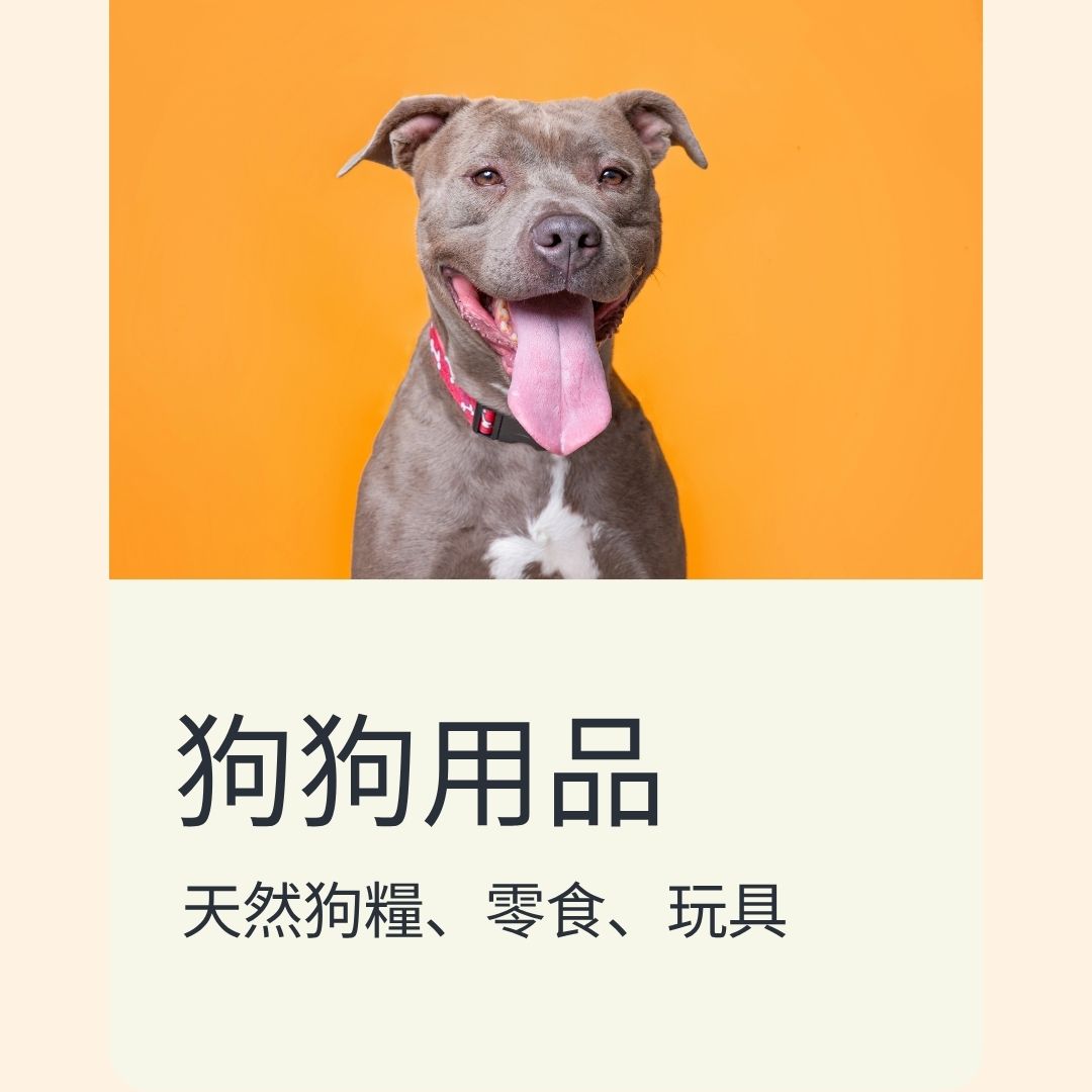 狗狗用品