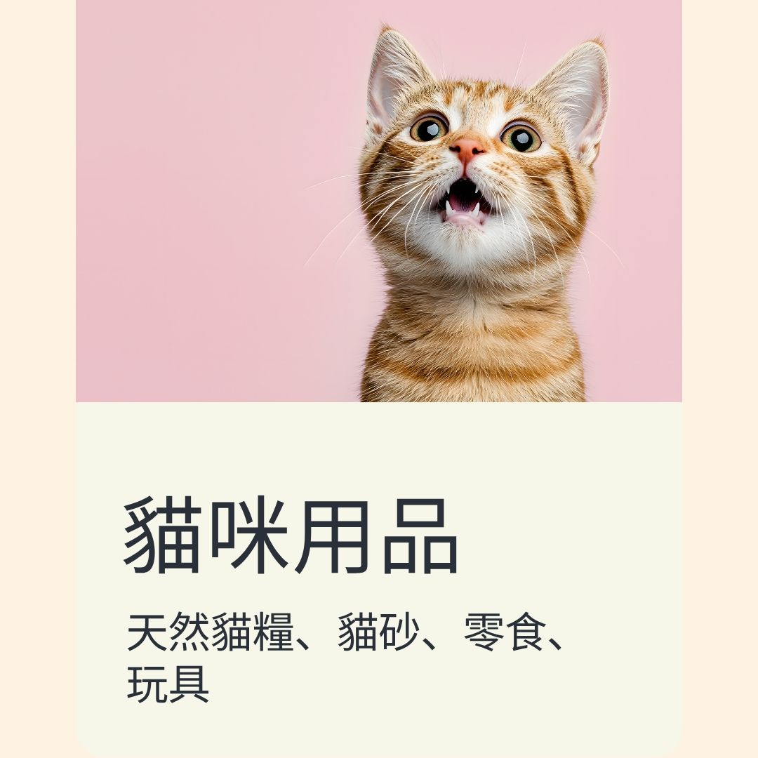 貓貓用品