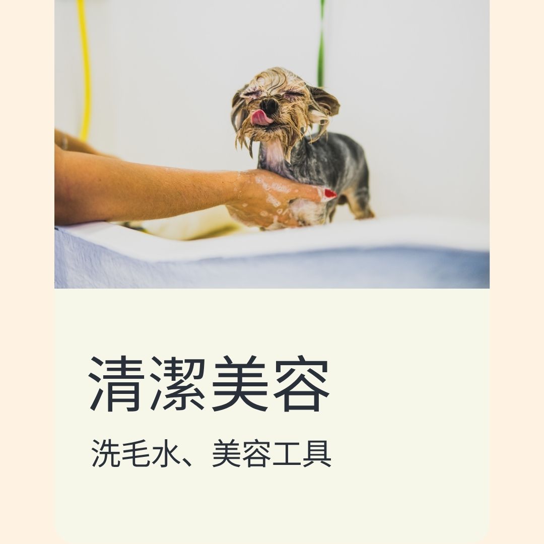 清潔美容