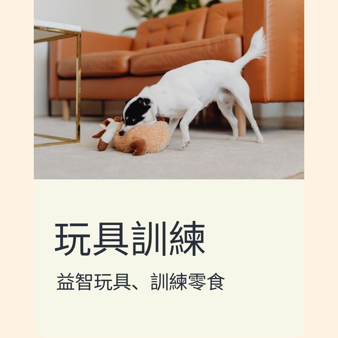 玩具訓練
