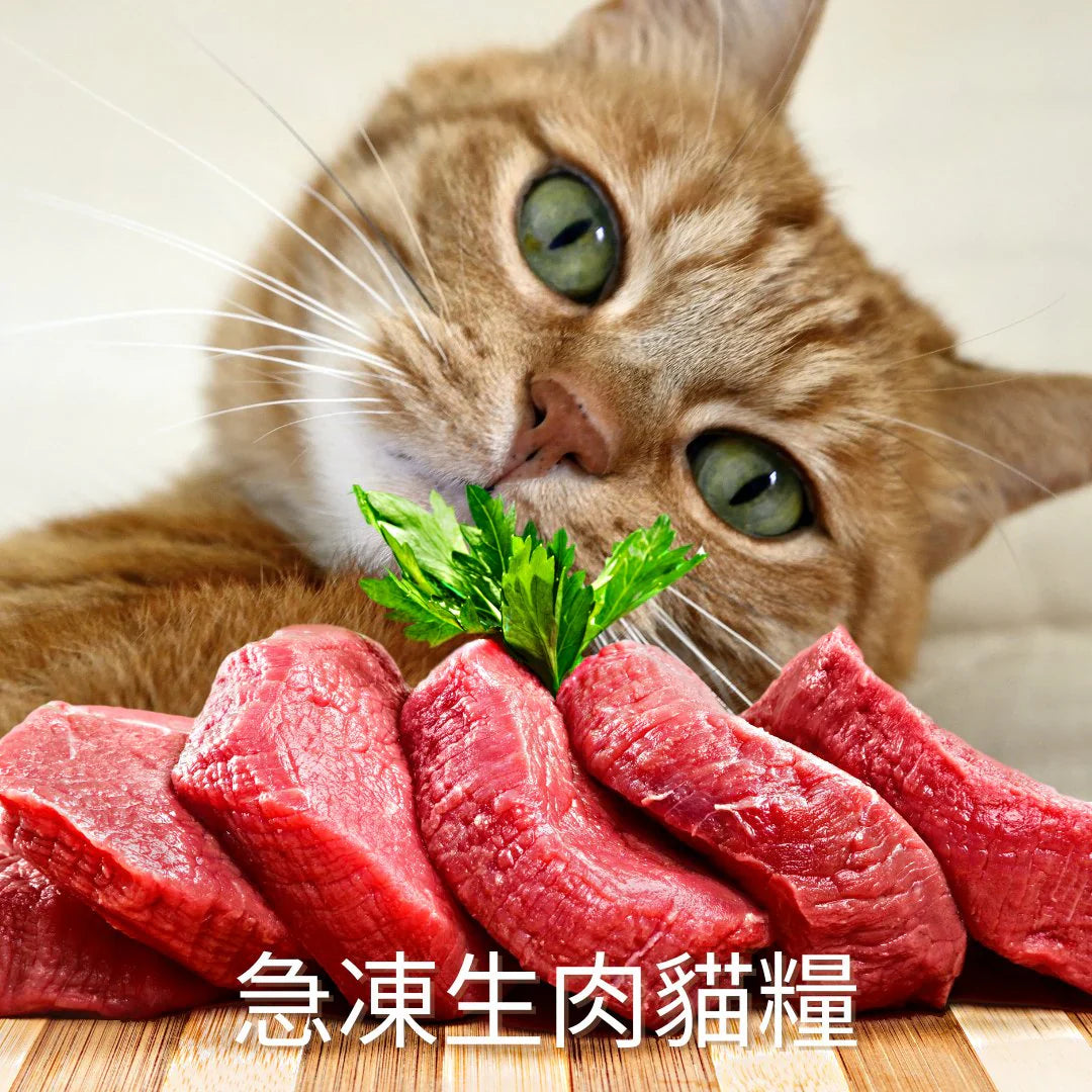 急凍生肉貓糧