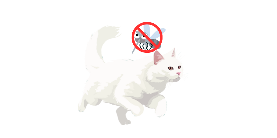 Cat Flea & Tick Prevention