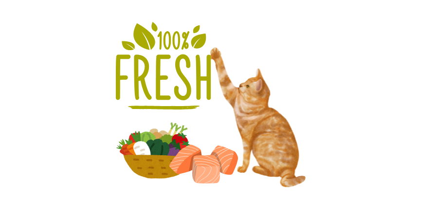 Cat Frozen Fresh Food 