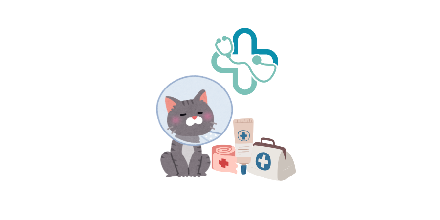 Cat Medical Supplies