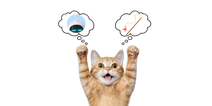 Interactive Cat Toys