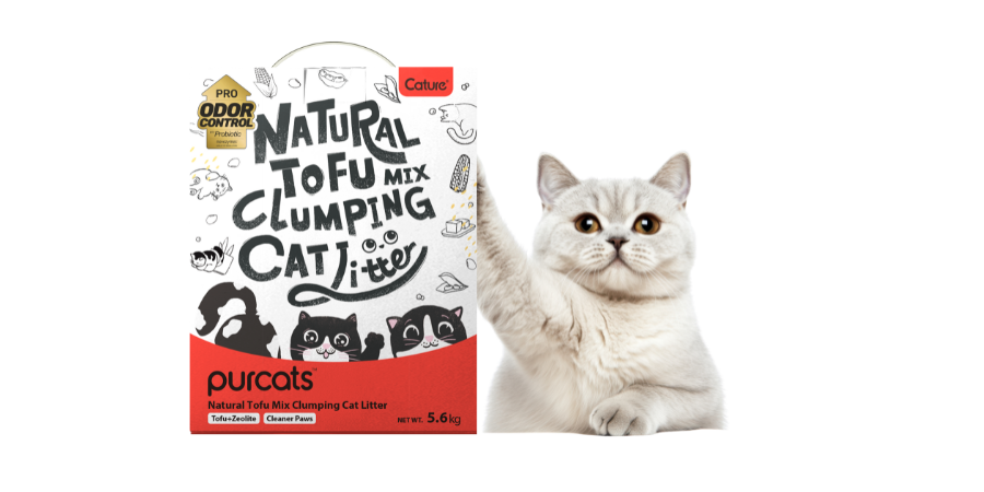 Cat Litters