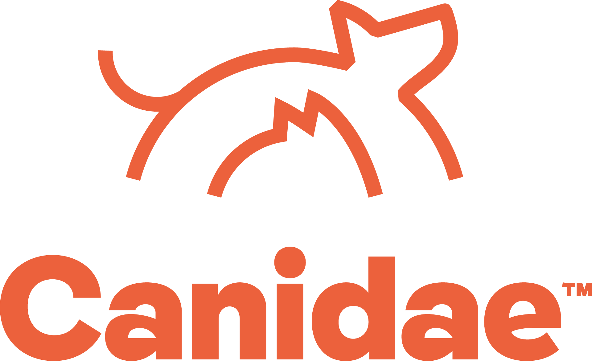 Canidae