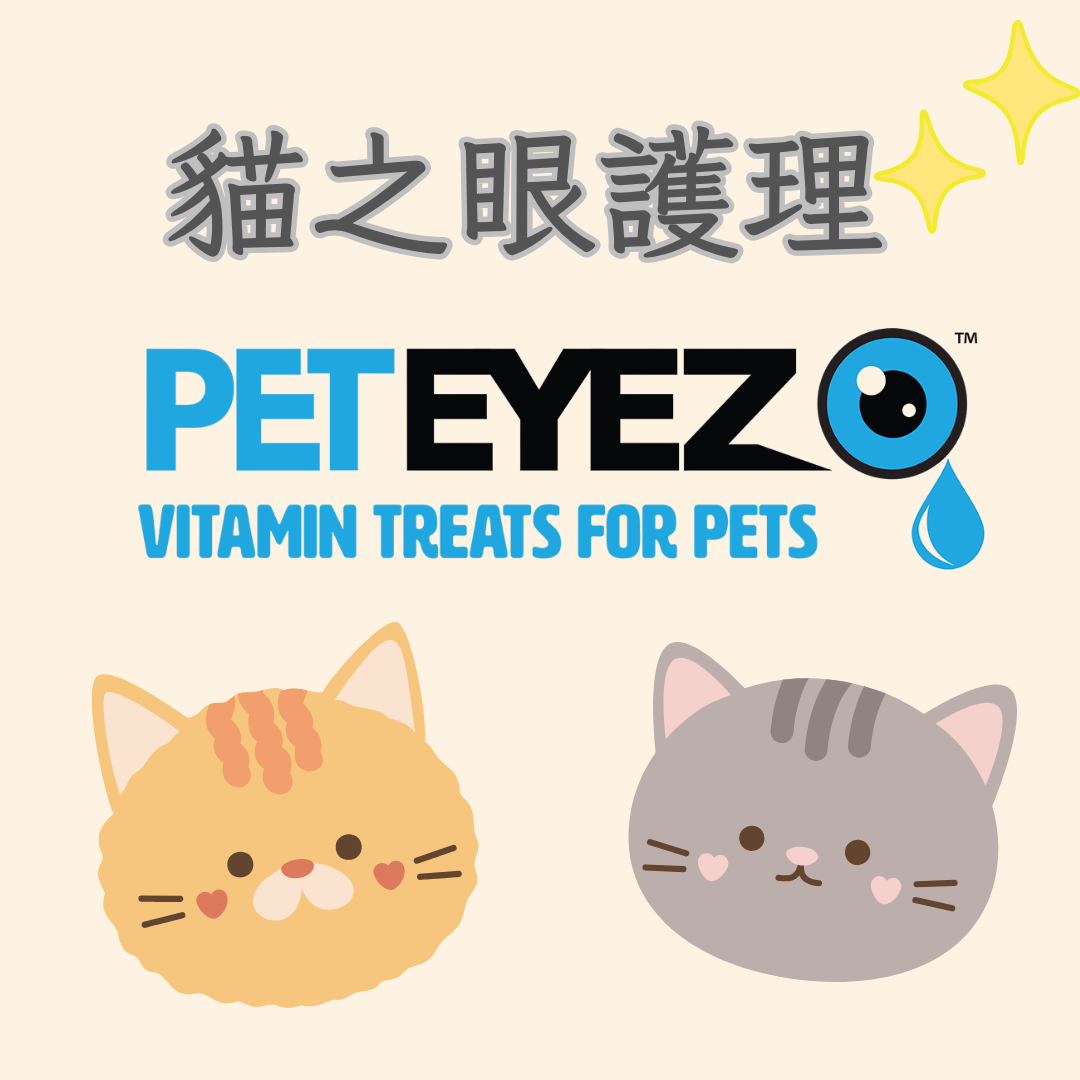 貓之眼護理專區 – Forever Pets 專業貓咪眼部護理用品｜天然安全保養