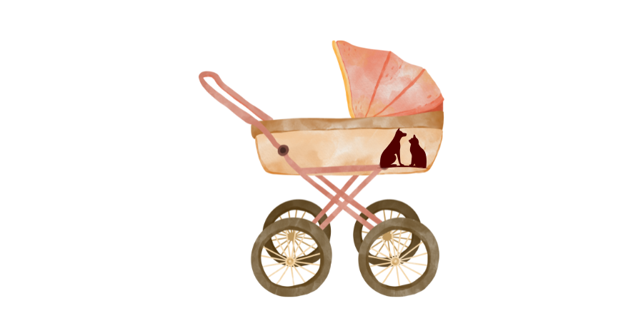 寵物車