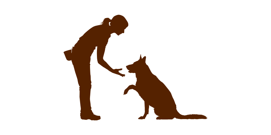 Dog Training Supplies