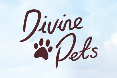 Divine Pets