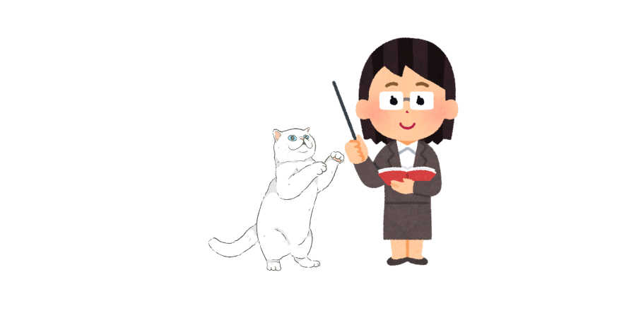 貓行為訓練
