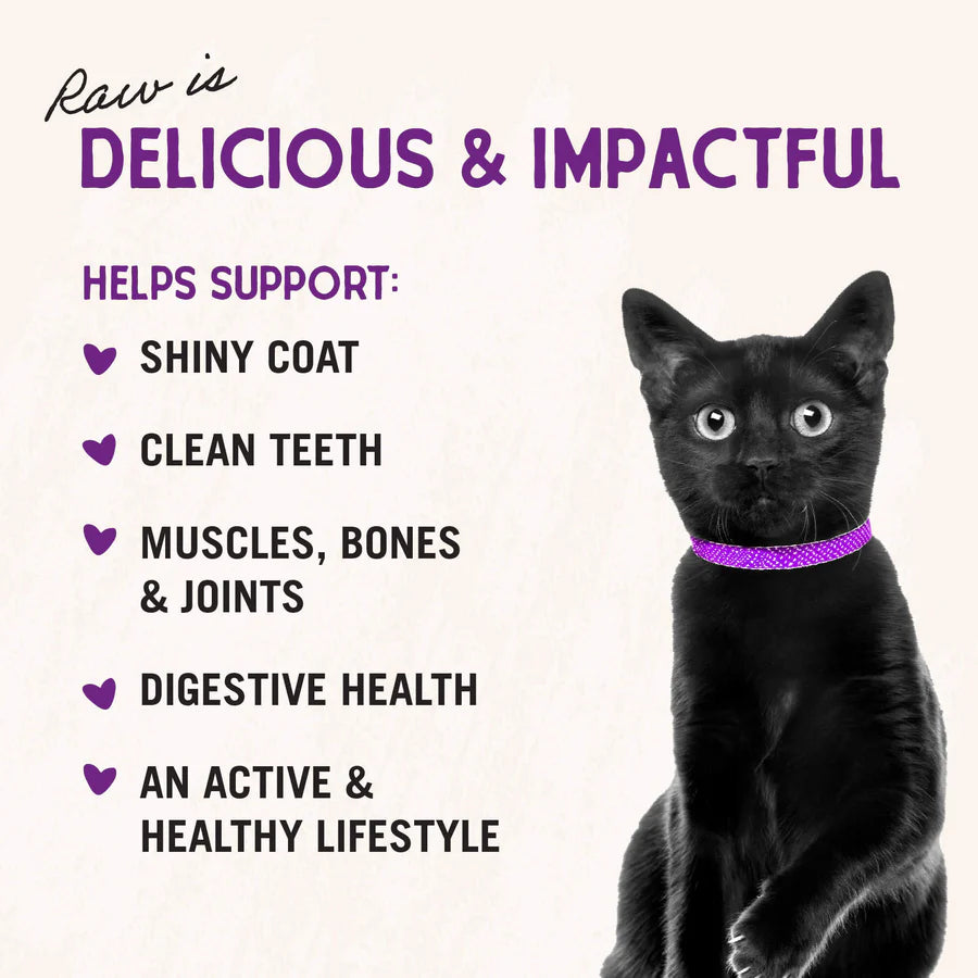 Stella & Chewy's - Freeze Dried Dinner - 貓糧 凍乾生肉糧