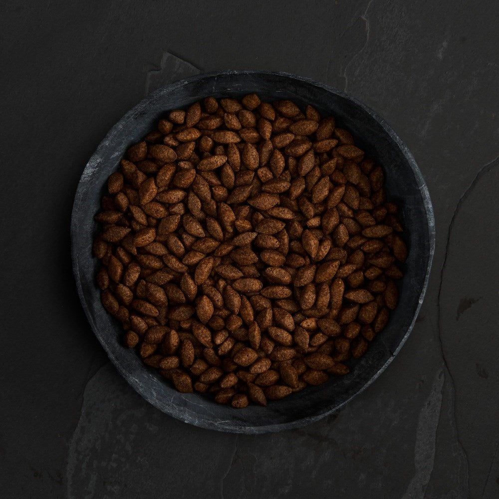 Canagan Insect Protein 無穀物蟲蟲蛋白狗糧 (全犬糧)