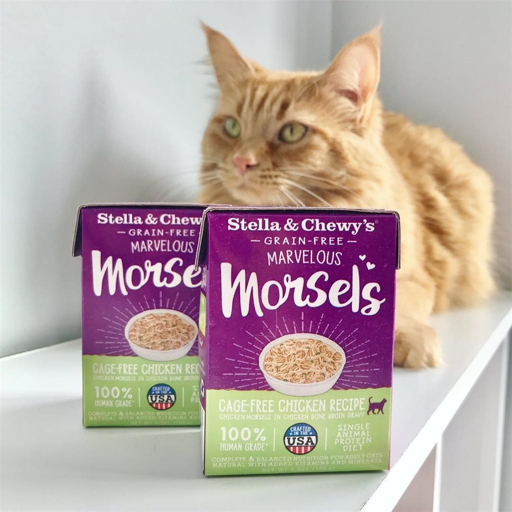 Original Box of 12 - Stella &amp; Chewy's Meat Soup Series (Cat Wet Food)