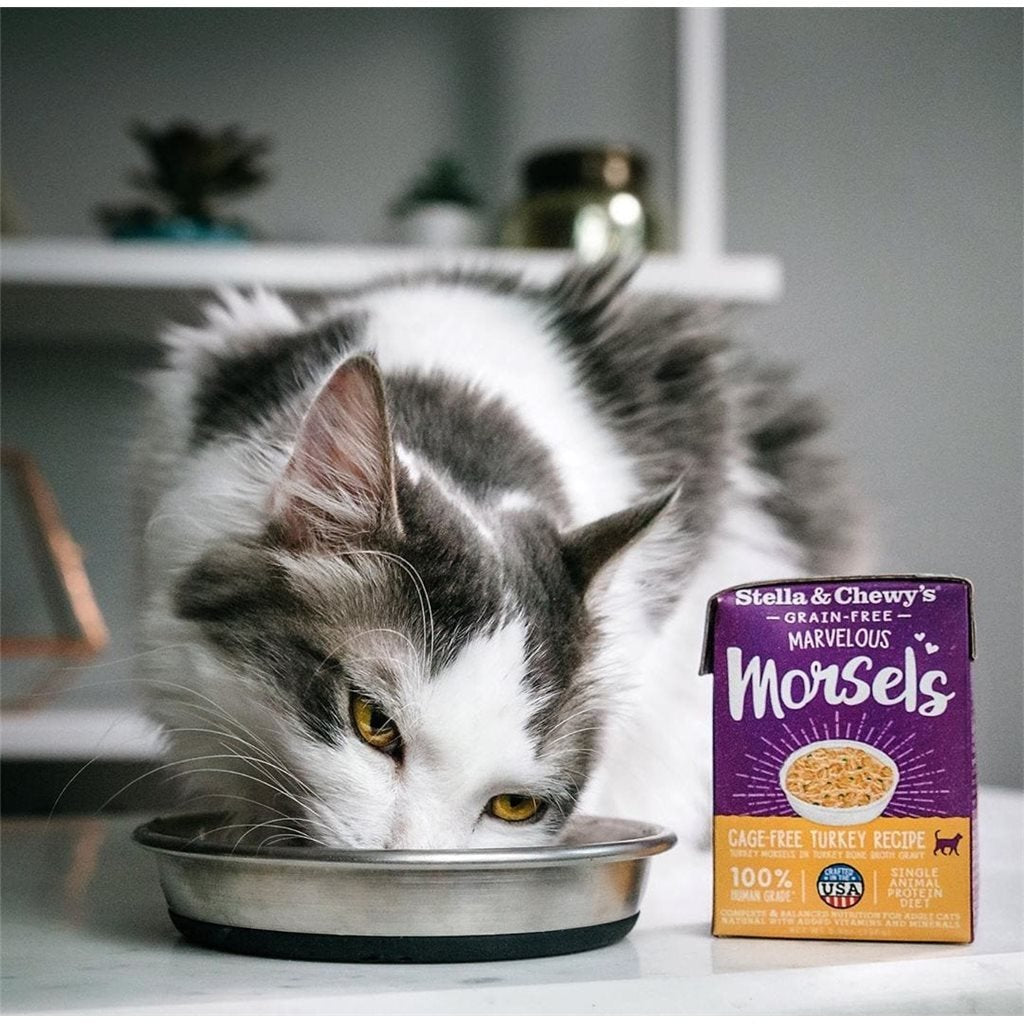 Original Box of 12 - Stella &amp; Chewy's Meat Soup Series (Cat Wet Food)