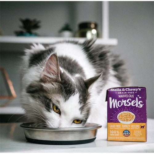 Original Box of 12 - Stella &amp; Chewy's Meat Soup Series (Cat Wet Food)