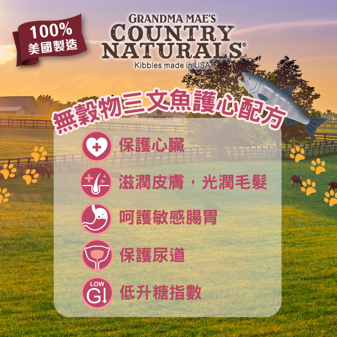 Country Naturals 無穀物低敏全貓精簡配方 貓糧