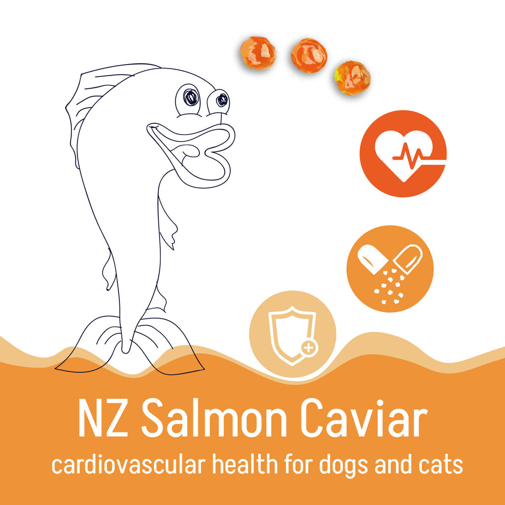Kōrure Pets - New Zealand King Salmon Roe Freeze-Dried 35g [Heart Health - For Dogs]