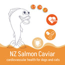 Kōrure Pets - New Zealand King Salmon Roe Freeze-Dried 35g [Heart Health - For Dogs]