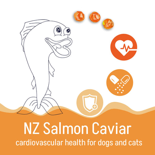 Kōrure Pets - New Zealand King Salmon Roe Freeze-Dried 35g [Heart Health - For Dogs]
