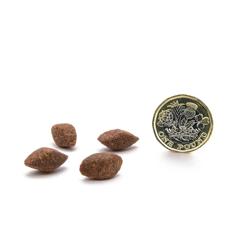 Canagan Insect Protein 無穀物蟲蟲蛋白狗糧 (全犬糧)