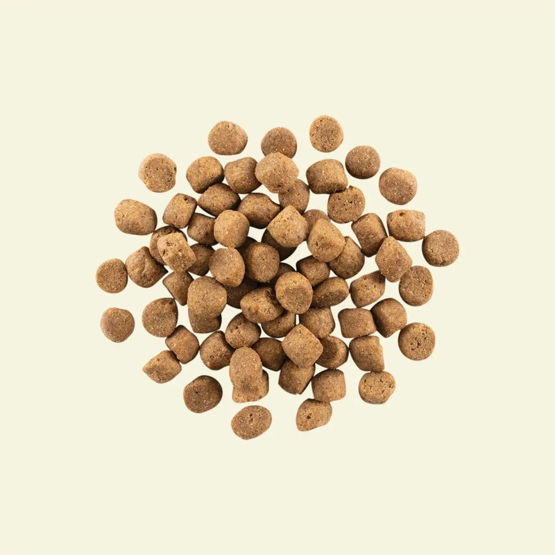 Now! Grain Free 火雞三文魚鴨肉狗糧 - 成犬