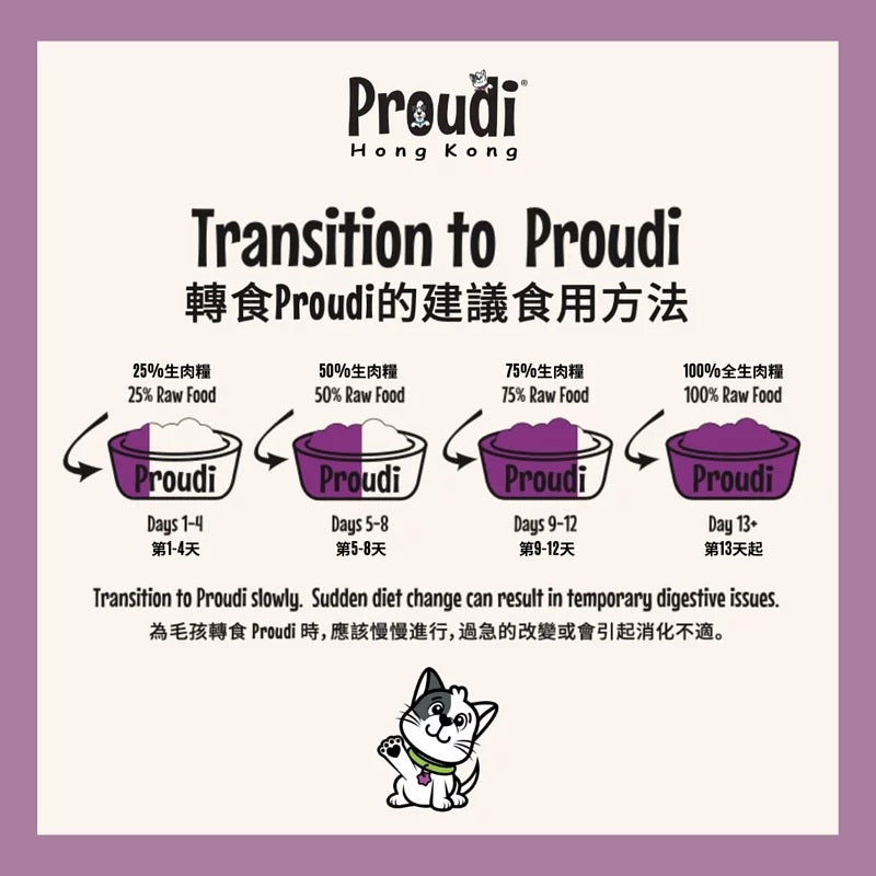 Proudi 急凍狗生肉糧