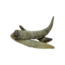 Merrimore Natural Teeth Cleaning and Molar Series