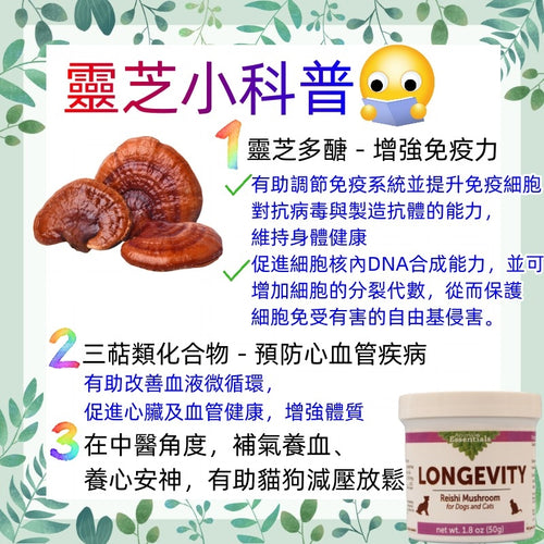 Animal Essentials - LONGEVITY 有機靈芝粉 1.8oz (50g) (貓狗合用)