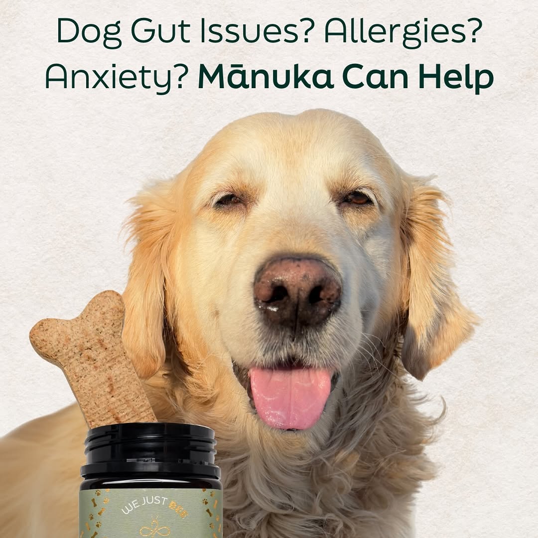 We Just Bee Manuka Honey MGO250+ for Dogs 250g