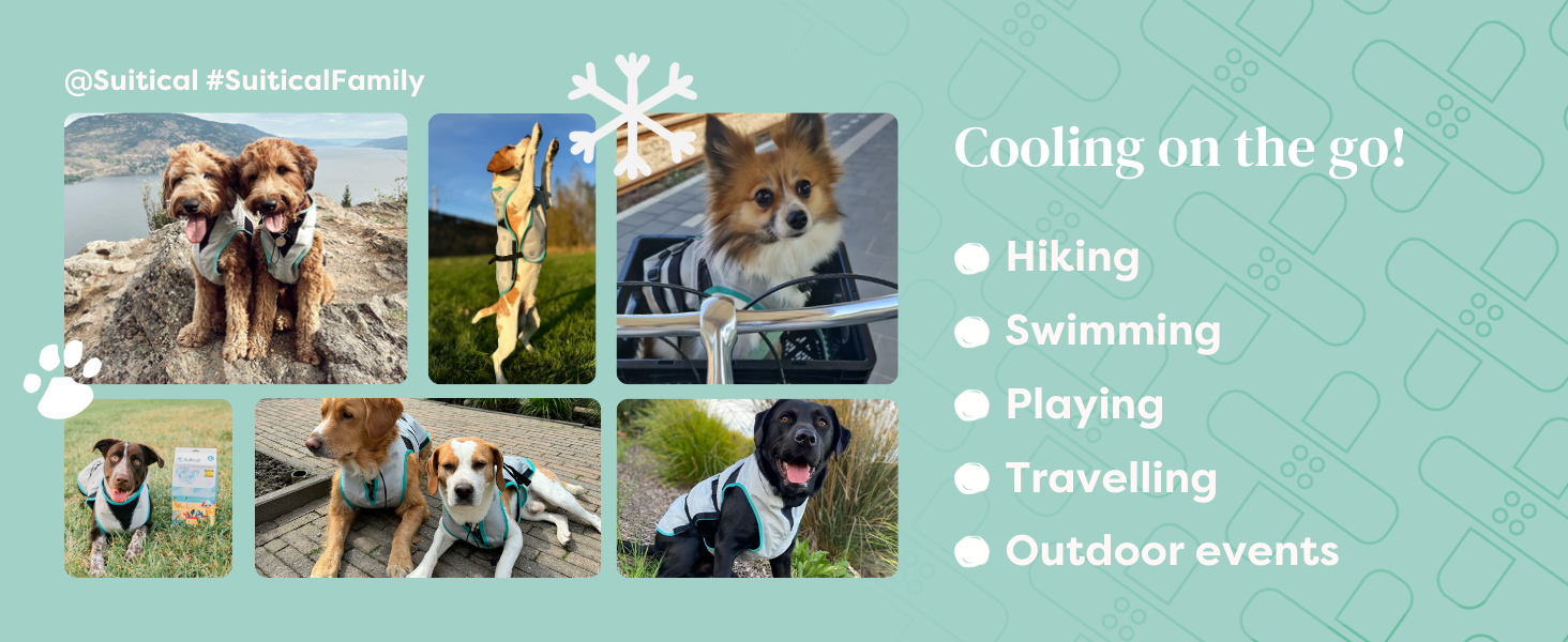 Suitical Dry Cooling Vest (降溫涼感背心)