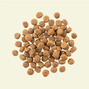 Now! Grain Free 魚肉狗糧- 成犬配方