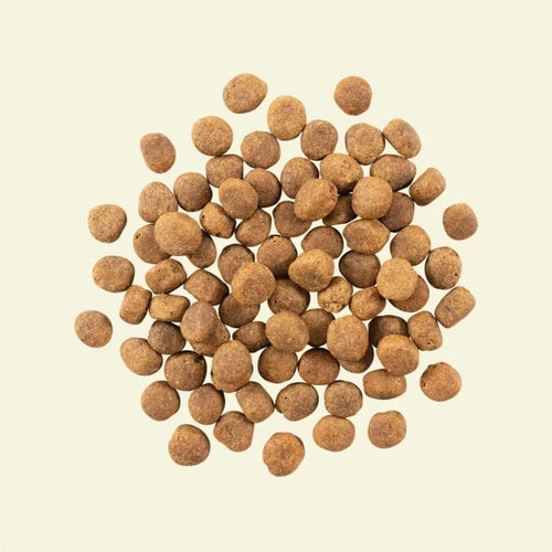 Now! Grain Free 魚肉狗糧- 成犬配方