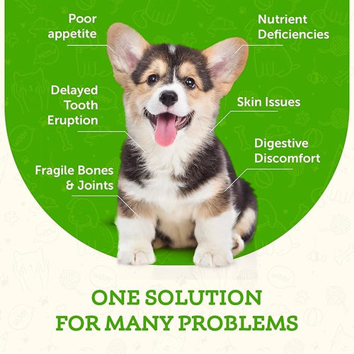 Animal Essentials - Seaweed Calcium 天然鈣粉 (鈣質補充劑) 340g