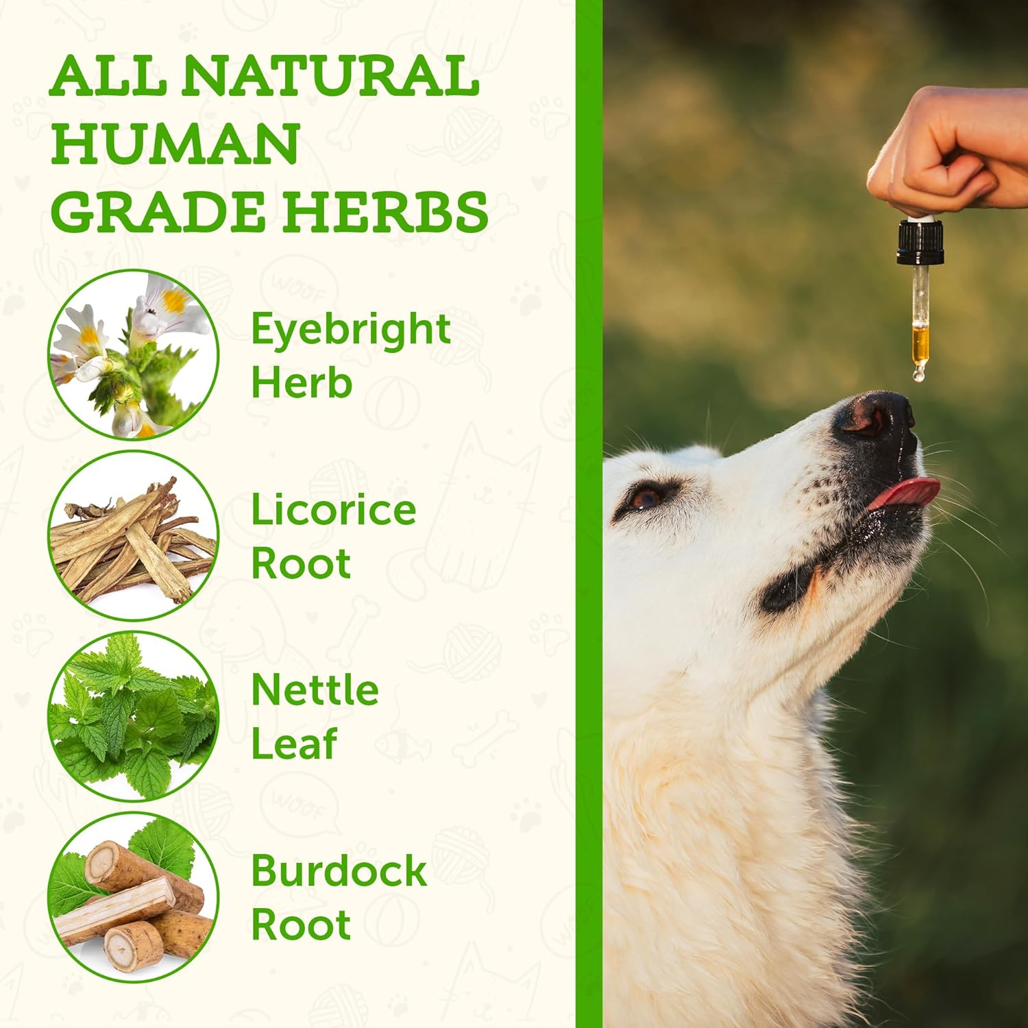 Animal Essentials - Seasonal Allergy (Spring Tonic) 治療養生草本系列 - 抗敏止癢配方 2oz