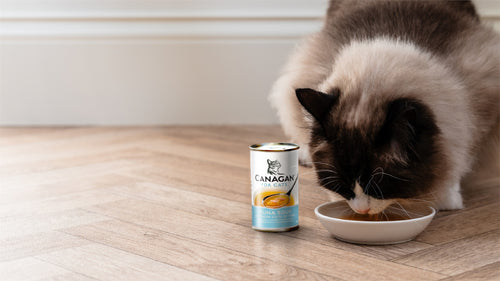 12 Cans Special Offer - Canagan Soup For Cat 140g