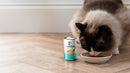 12 Cans Special Offer - Canagan Soup For Cat 140g