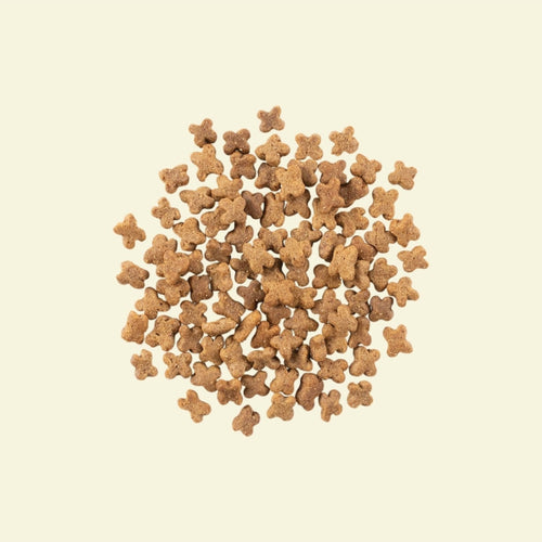 NOW FRESH™ Grain Free 無穀物紅肉狗糧 - 小型成犬