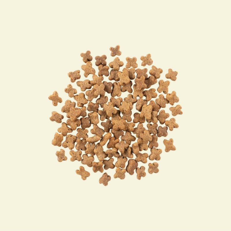 NOW FRESH™ Grain Free 無穀物紅肉狗糧 - 小型成犬