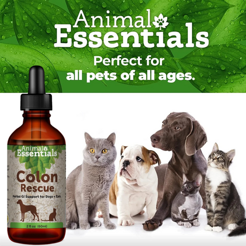 Animal Essentials - Colon Rescue (Phytomucil) 治療養生草本系列 - 腸胃護理配方 2oz
