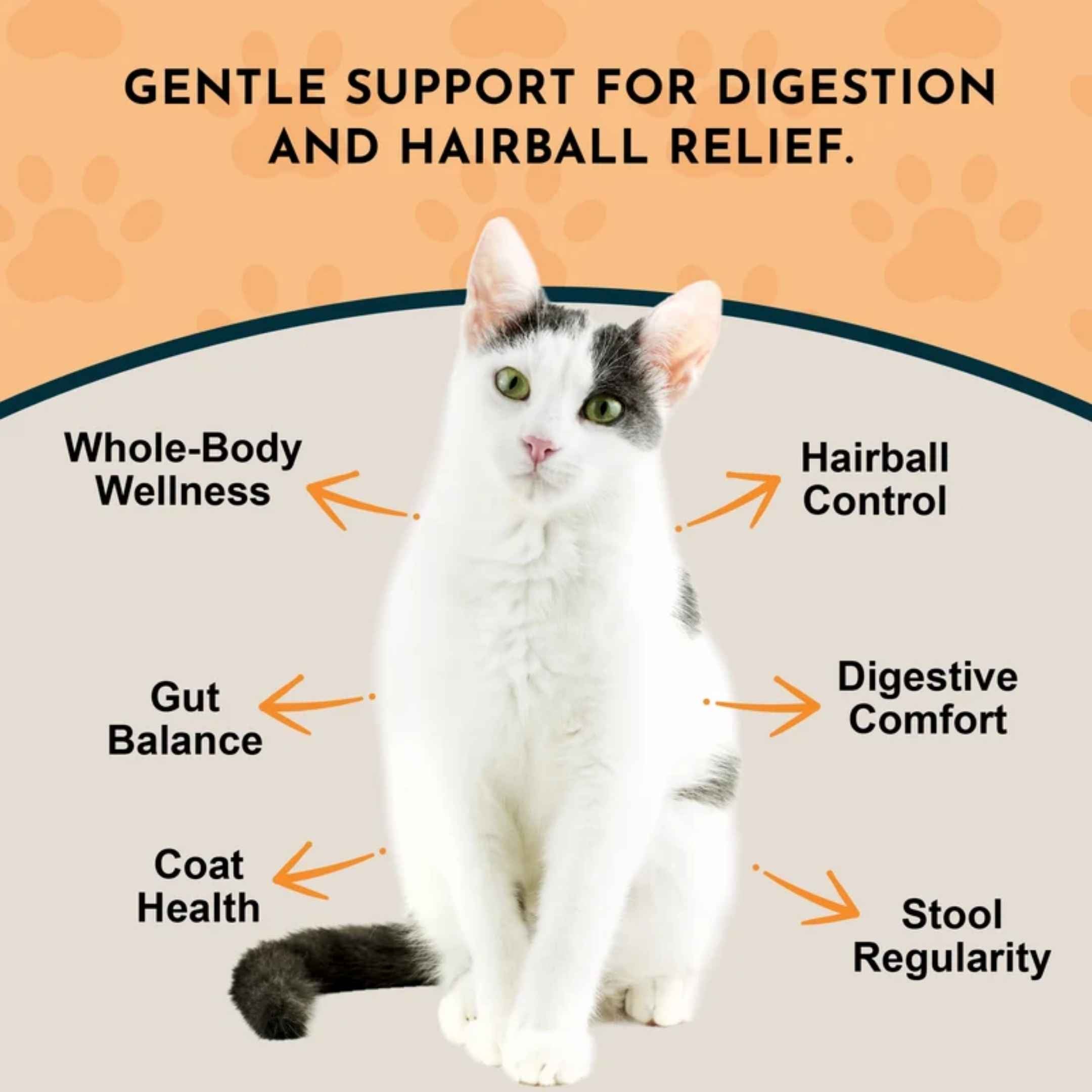 Animal Essentials - Hairball Relief - Hairball Relief Formula (For Cats and Dogs) 2oz