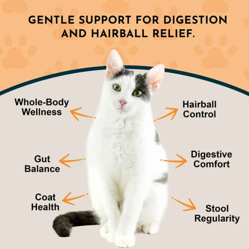Animal Essentials - Hairball Relief - Hairball Relief Formula (For Cats and Dogs) 2oz