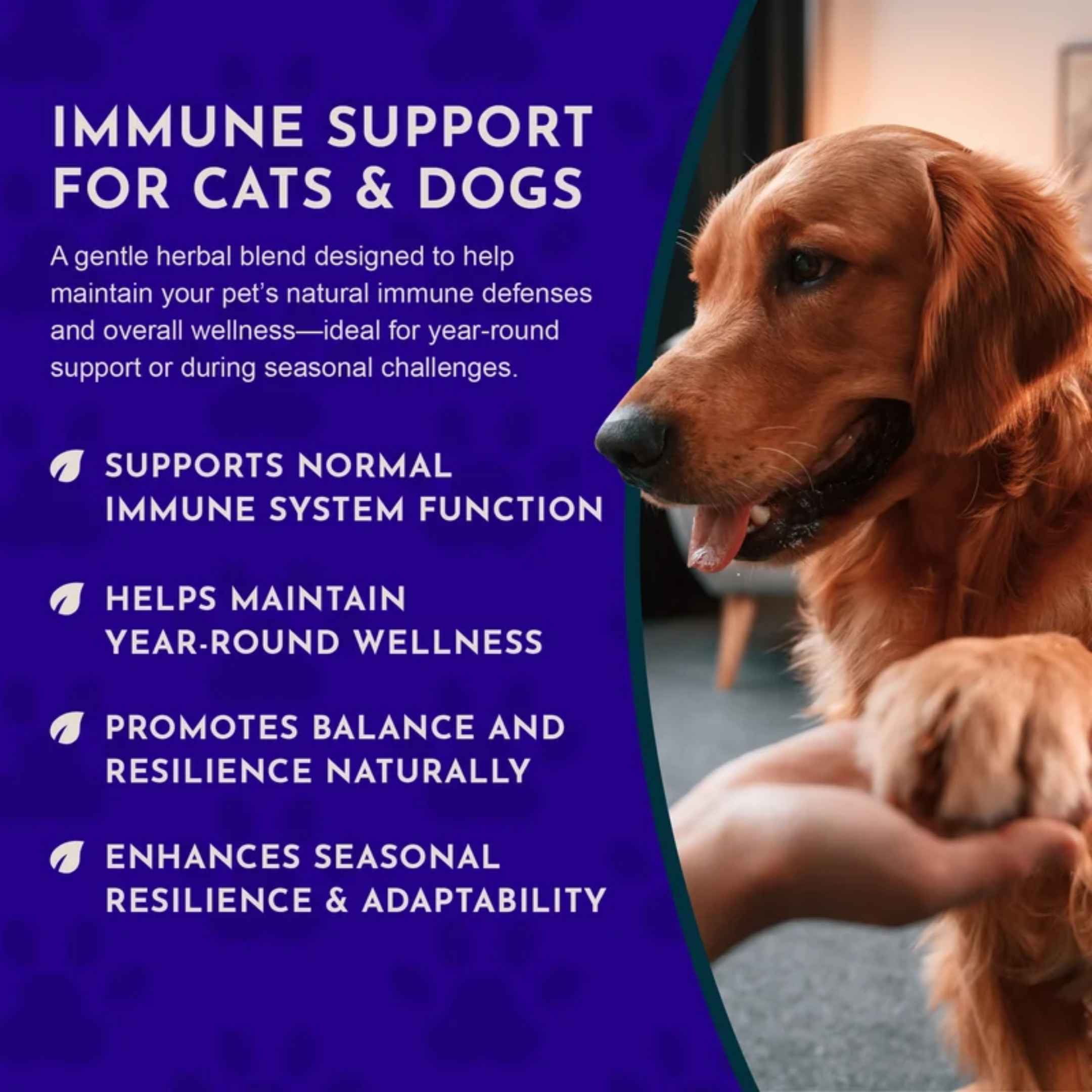 Animal Essentials - Super Immune (OL-lmmune) 